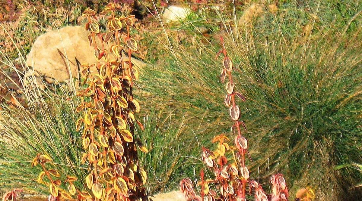 �������� ������������������ ����� Natali  ��������� �� PhotoGeek.ru #������ ��� ������� #����� ��������������