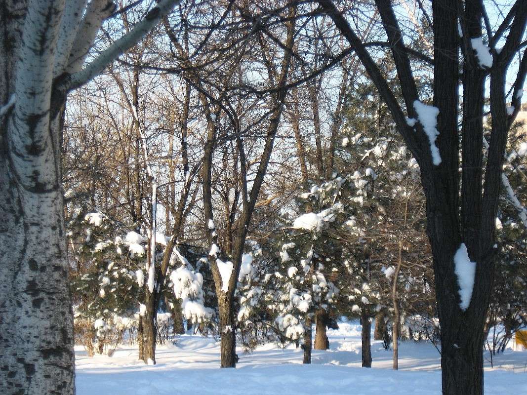 ... ����� Natali  ��������� �� PhotoGeek.ru #������ ��� ������� #����� ��������������