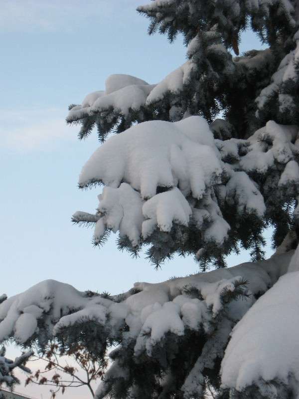 ... ����� Natali  ��������� �� PhotoGeek.ru #������ ��� ������� #����� ��������������