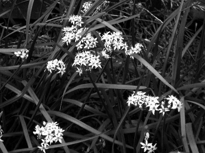 ... ����� Natali  ��������� �� PhotoGeek.ru #������ ��� ������� #����� ��������������