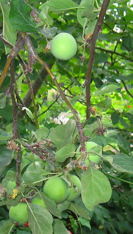 ������ ��� ������ ����� Natali  ��������� �� PhotoGeek.ru #������ ��� ������� #����� ��������������