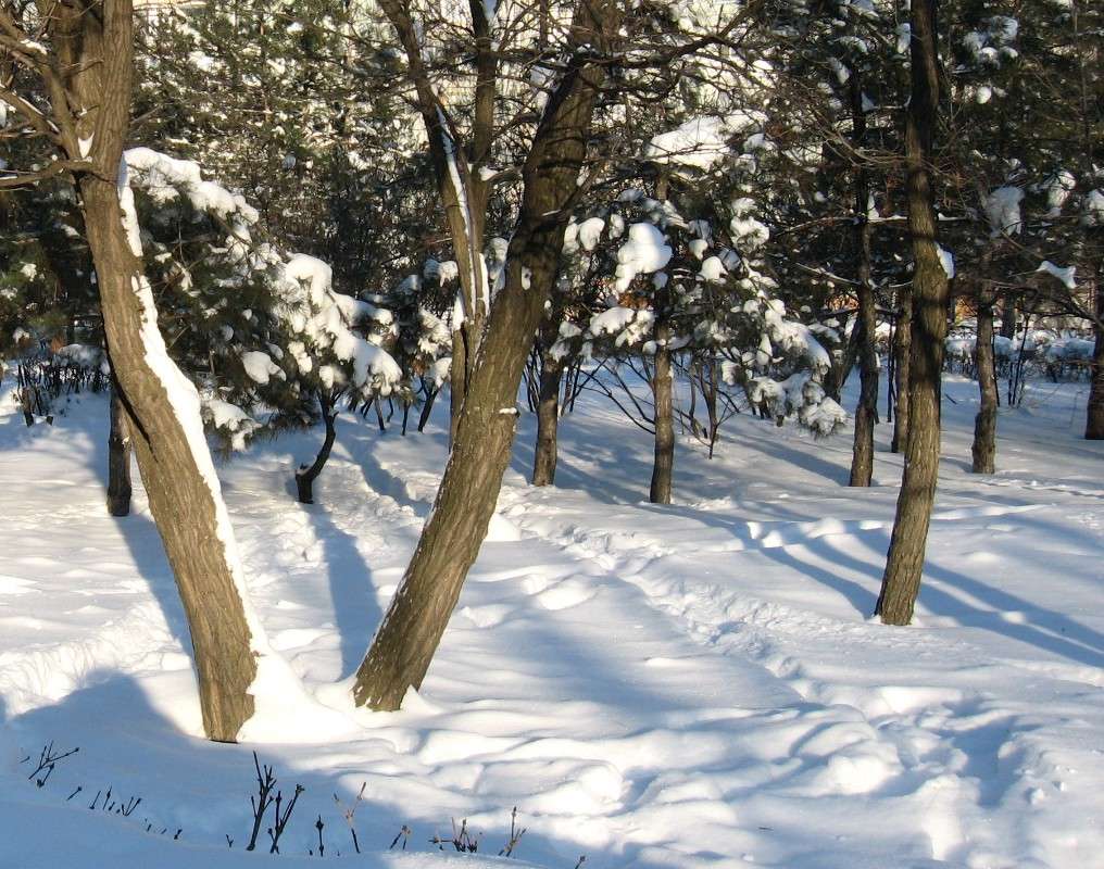 �������� ����� Natali  ��������� �� PhotoGeek.ru #������ ��� ������� #����� ��������������