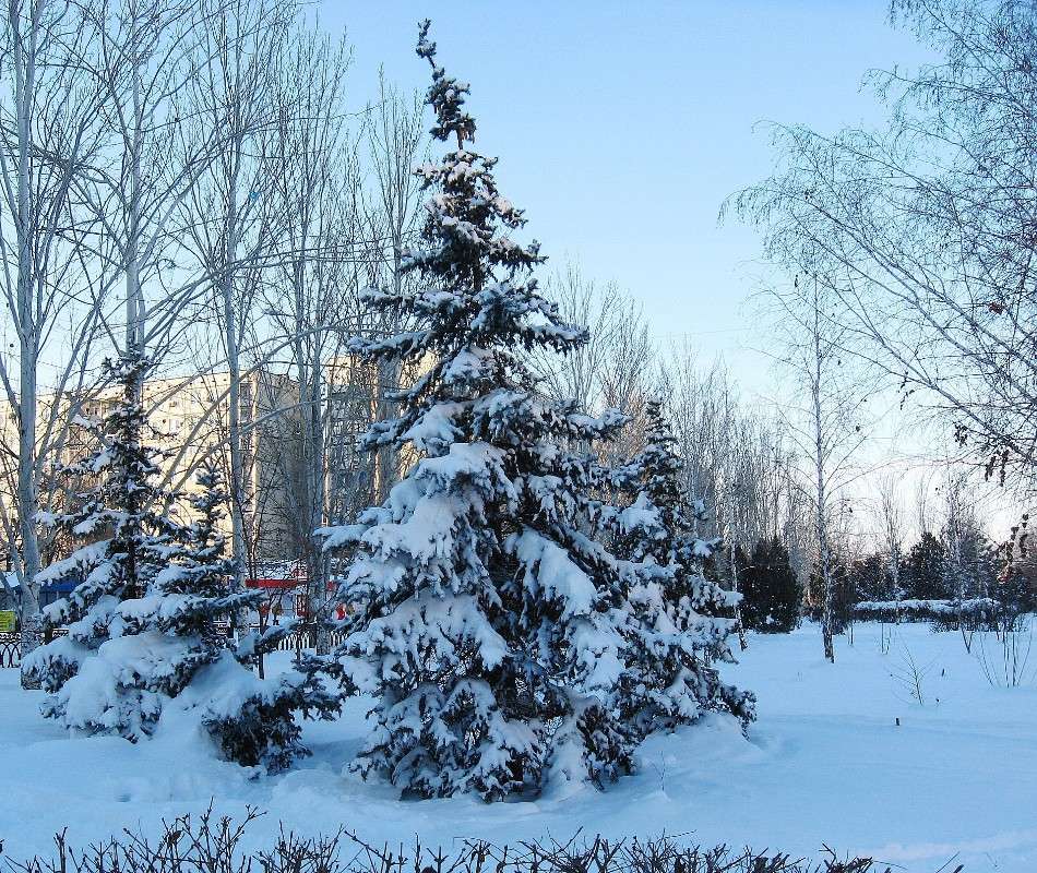 � � ������ ����.... ����� Natali  ��������� �� PhotoGeek.ru #������ ��� ������� #����� ��������