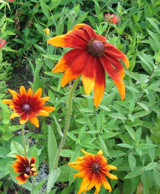 � ���� ����� Natali  ��������� �� PhotoGeek.ru #������ ��� ������� #����� ��������������