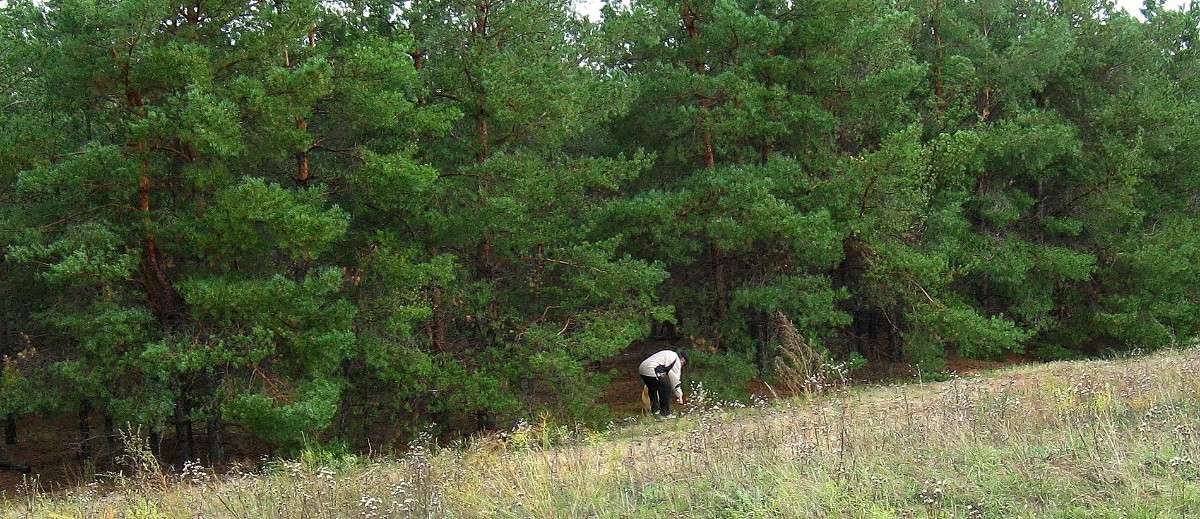 ����� �� ������ ����� Natali  ��������� �� PhotoGeek.ru #������ ��� ������� #�������� ���������� #���������������