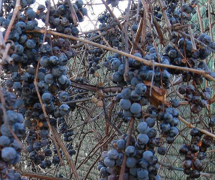 ... ����� Natali  ��������� �� PhotoGeek.ru #������ ��� ������� #����� ��������������