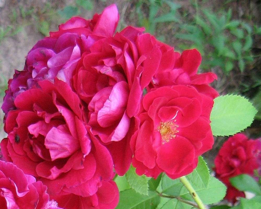 ... ����� Natali  ��������� �� PhotoGeek.ru #������ ��� ������� #����� ��������������