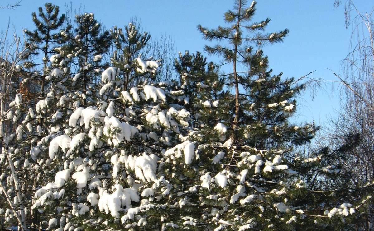 ����� � ������.... ����� Natali  ��������� �� PhotoGeek.ru #������ ��� ������� #����� ��������������