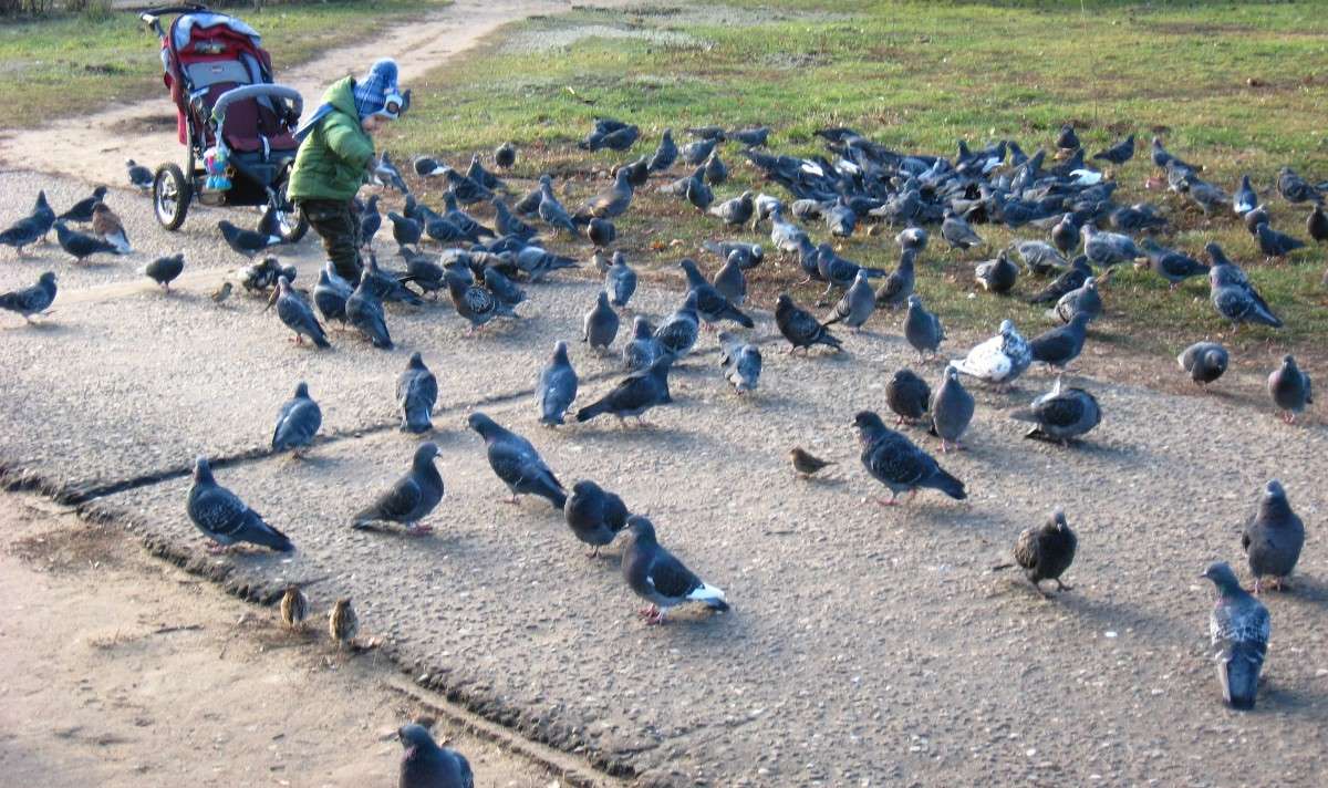 ��� ����� �������� ? ����� Natali  ��������� �� PhotoGeek.ru #�������� ��� #�������� ���������� #���������������