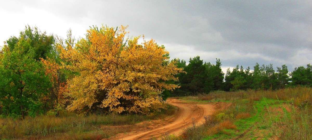 � ��������� �����.... ����� Natali  ��������� �� PhotoGeek.ru #������ ��� ������� #����� ��������������