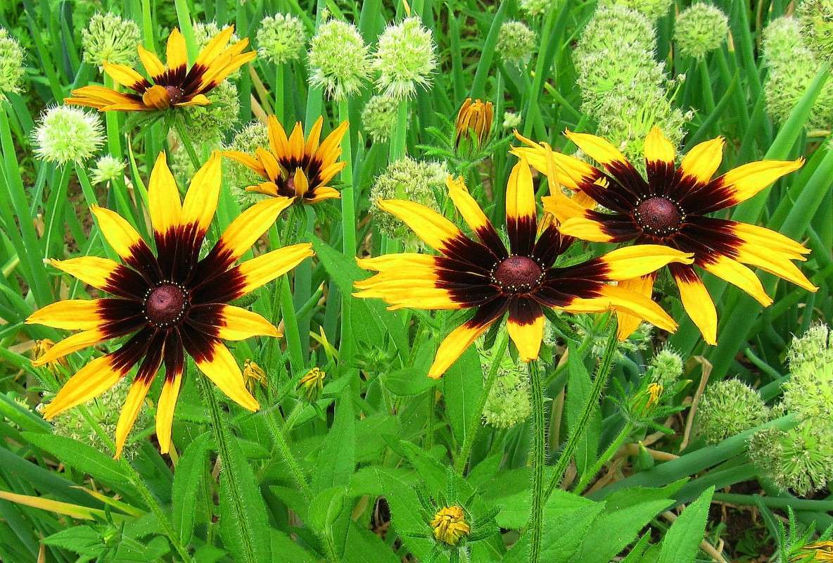 ... ����� Natali  ��������� �� PhotoGeek.ru #������ ��� ������� #����� ��������������