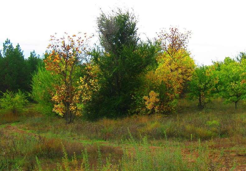 ��� ���� ��������� ... ))) ����� Natali  ��������� �� PhotoGeek.ru #������ ��� ������� #����� ��������������