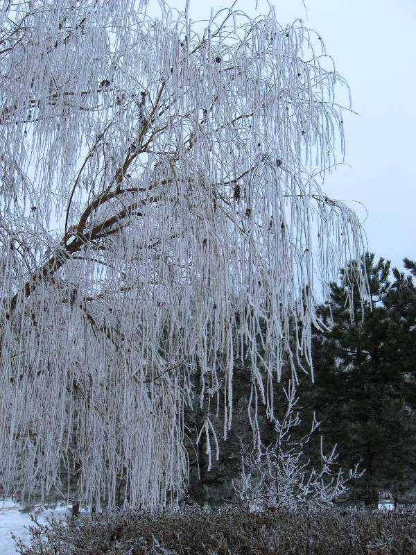 ���� � ��������� ����. ����� Natali  ��������� �� PhotoGeek.ru #������ ��� ������� #����� ��������������