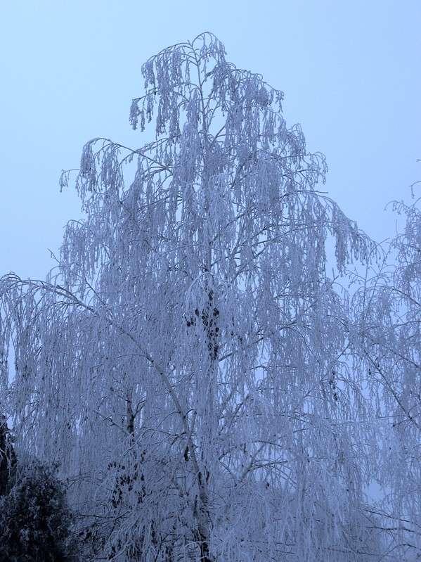 ���������� ����� ����� Natali  ��������� �� PhotoGeek.ru #������ ��� �������