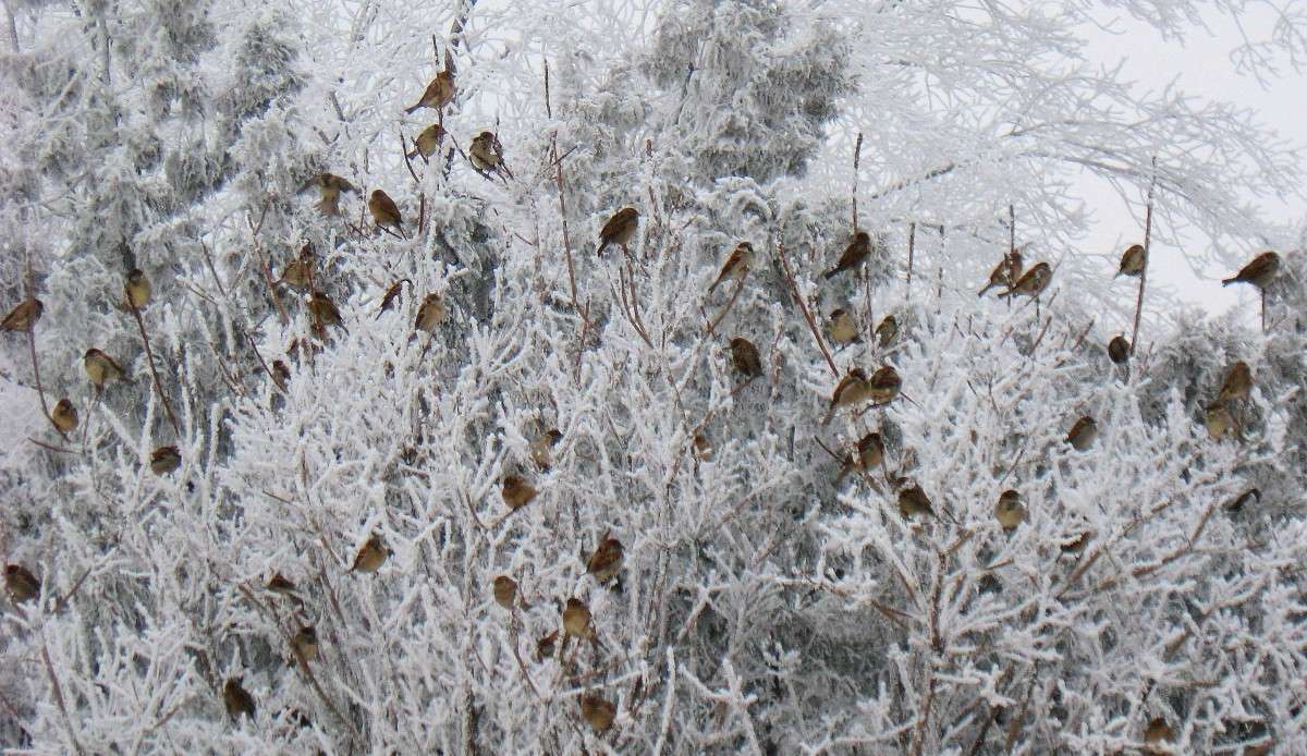 ��� ����� �� ������ ������... ))) ����� Natali  ��������� �� PhotoGeek.ru #�������� ��� #������ ��� ������� #����� ��������������