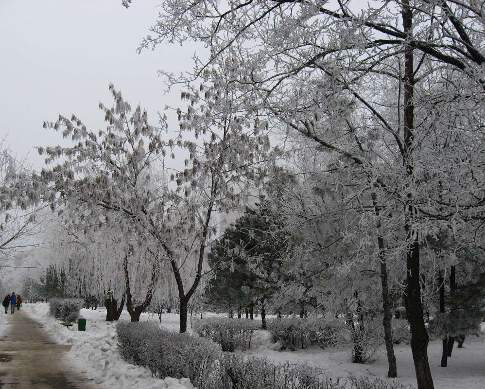 ��������� �����.... ))) ����� Natali  ��������� �� PhotoGeek.ru #������ ��� ������� #�������� ���������� #����� ��������������