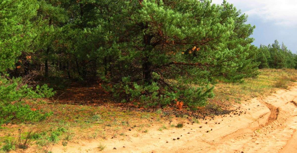 ������ ���. ����� Natali  ��������� �� PhotoGeek.ru #������ ��� ������� #����� ��������������