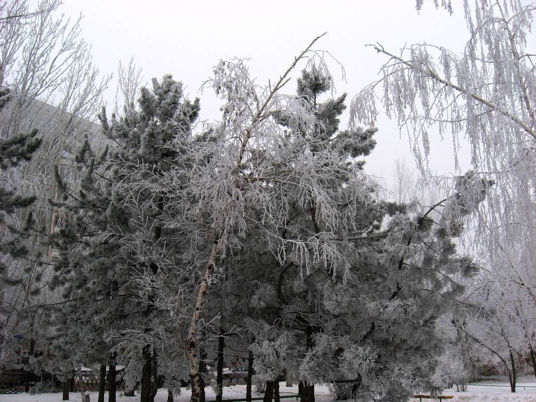 ... ����� Natali  ��������� �� PhotoGeek.ru #������ ��� ������� #����� ��������������