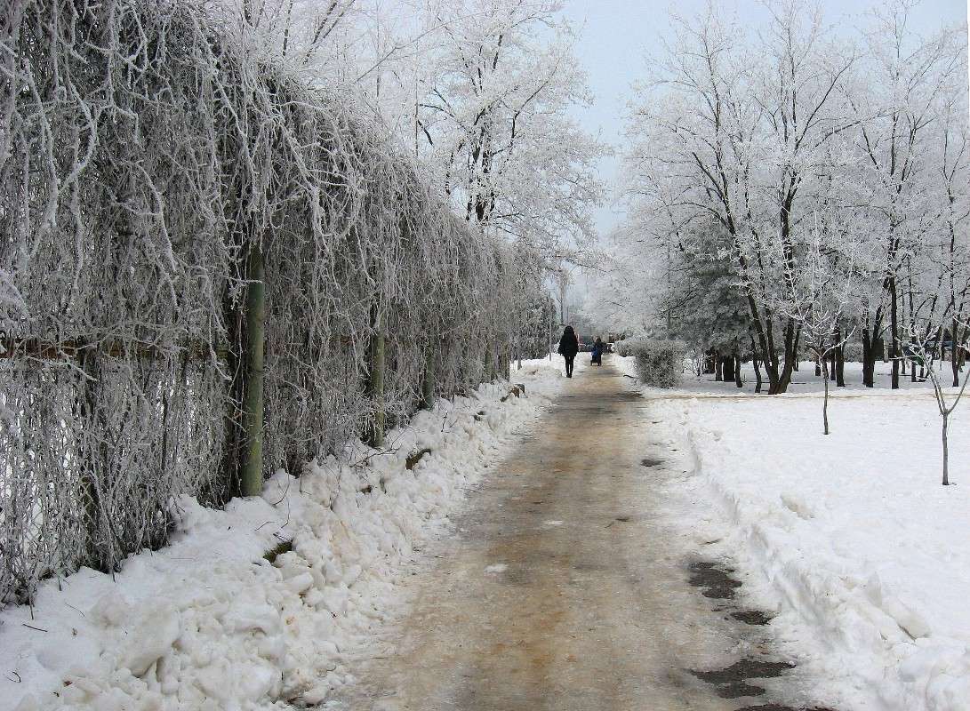 ... ����� Natali  ��������� �� PhotoGeek.ru #������ ��� ������� #����� �������������� #����� ��������