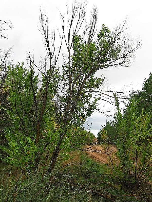 ��� �������  �����.... ����� Natali  ��������� �� PhotoGeek.ru #������ ��� ������� #����� ��������������