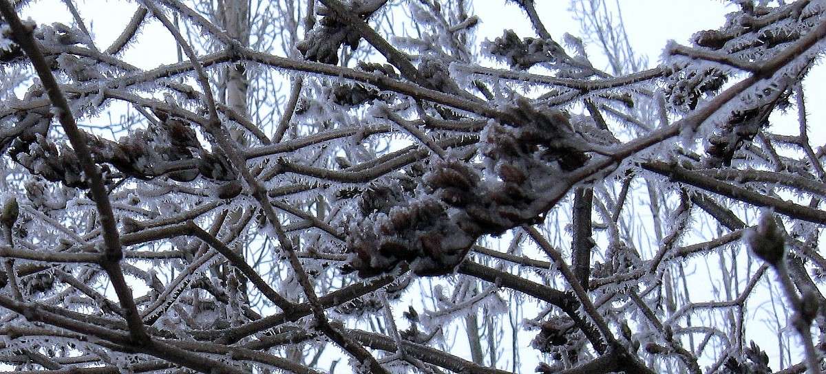 �� ��������� ����� Natali  ��������� �� PhotoGeek.ru #������ ��� ������� #����� ��������������