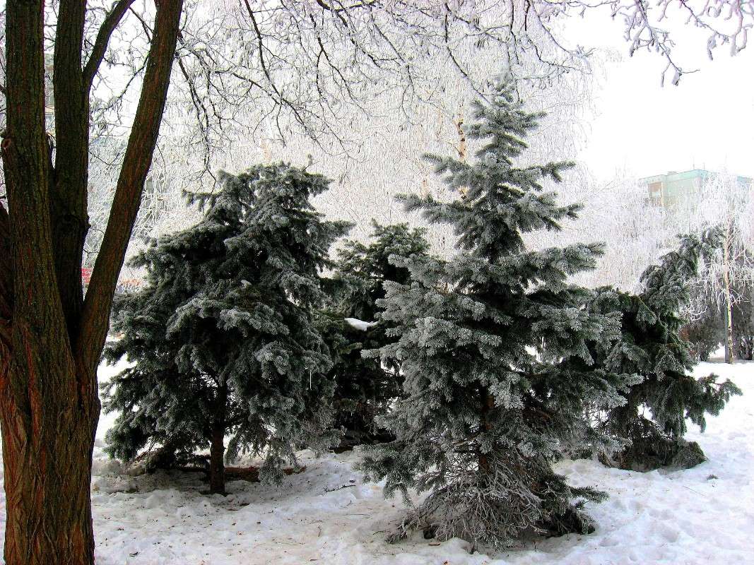 ... ����� Natali  ��������� �� PhotoGeek.ru #������ ��� ������� #����� ��������������