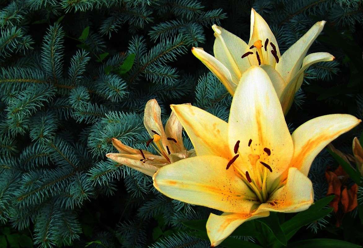 ���� � ����� ����� ! ) ����� Natali  ��������� �� PhotoGeek.ru #������ ��� ������� #����� �������������� #�������� #�����������