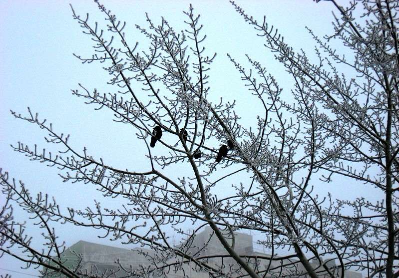 ������� ��������� ����� Natali  ��������� �� PhotoGeek.ru #�������� ��� #������ ��� ������� #����� ��������������