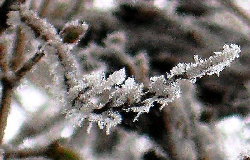 ... ����� Natali  ��������� �� PhotoGeek.ru #������ ��� ������� #����� ��������������