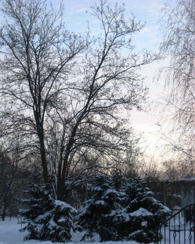 ����� ����� Natali  ��������� �� PhotoGeek.ru #������ ��� ������� #����� ��������������