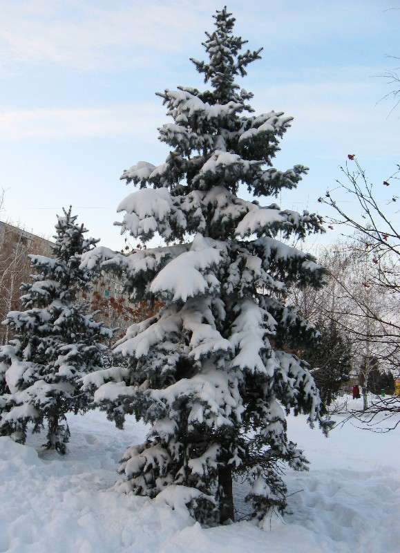 ... ����� Natali  ��������� �� PhotoGeek.ru #������ ��� ������� #����� ��������������