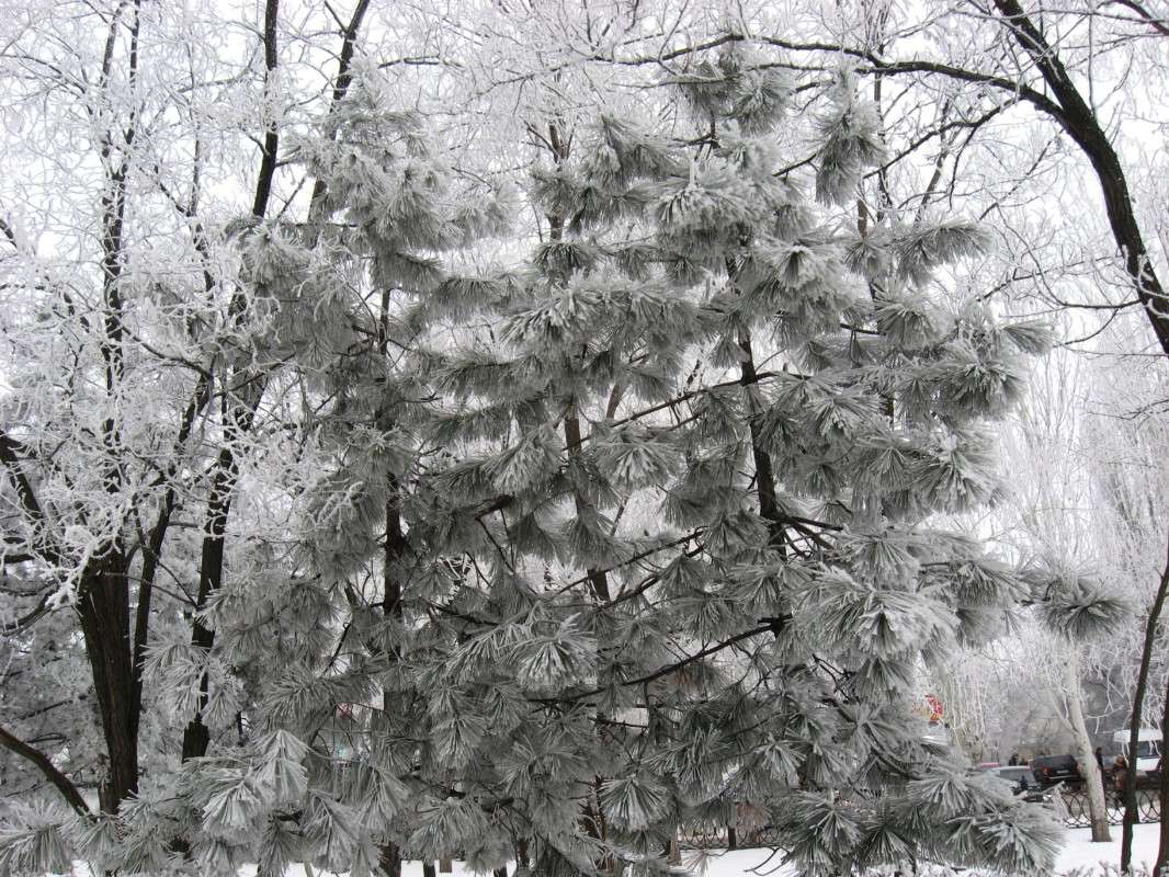 ���� ����� Natali  ��������� �� PhotoGeek.ru #������ ��� ������� #����� ��������������