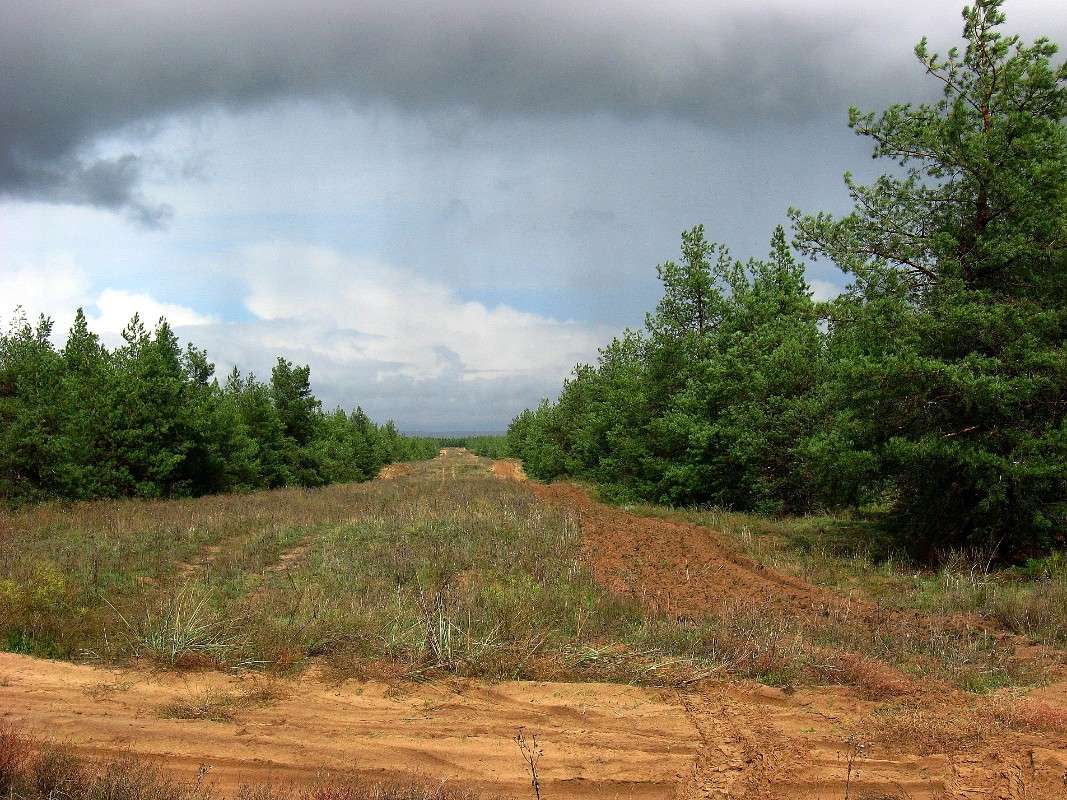 ����� ��� �������� ����� Natali  ��������� �� PhotoGeek.ru #������ ��� ������� #����� ��������������