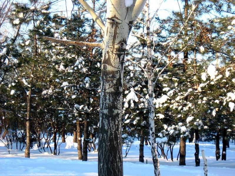 ... ����� Natali  ��������� �� PhotoGeek.ru #������ ��� ������� #����� ��������������