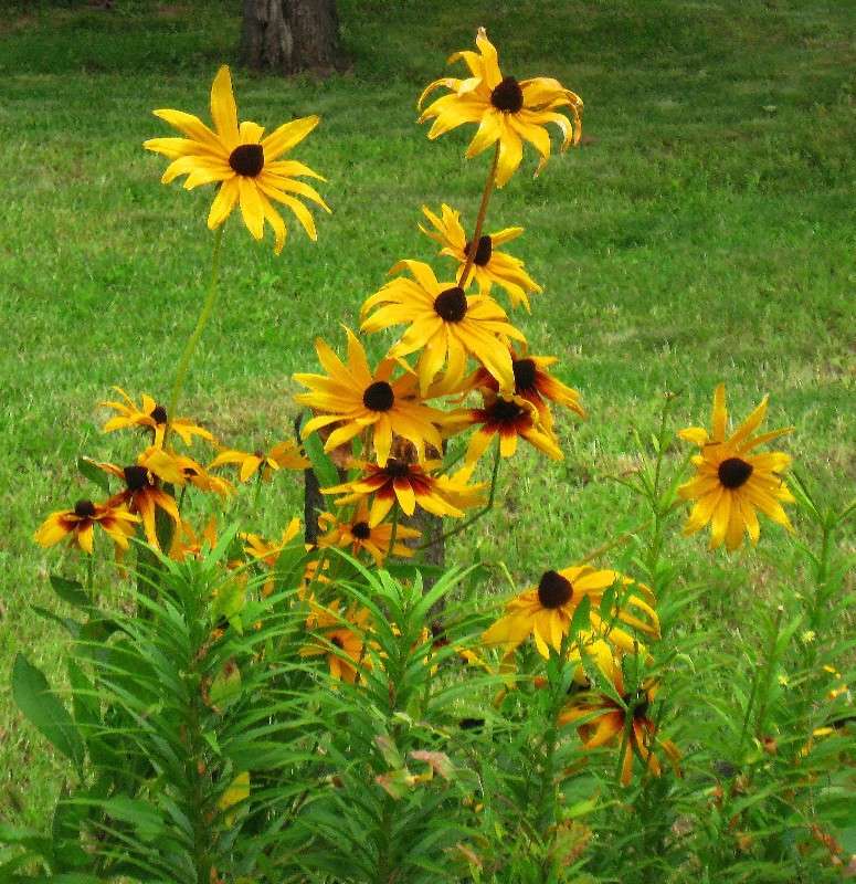 ... ����� Natali  ��������� �� PhotoGeek.ru #������ ��� ������� #����� ��������������