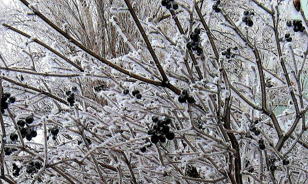 ������ �����. ����� Natali  ��������� �� PhotoGeek.ru #������ ��� ������� #����� ��������������