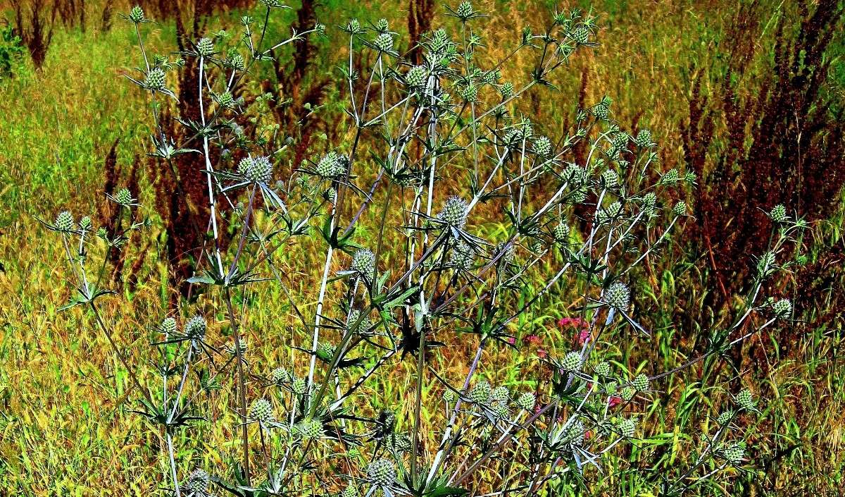 �������. ����� Natali  ��������� �� PhotoGeek.ru #������ ��� ������� #����� ��������������