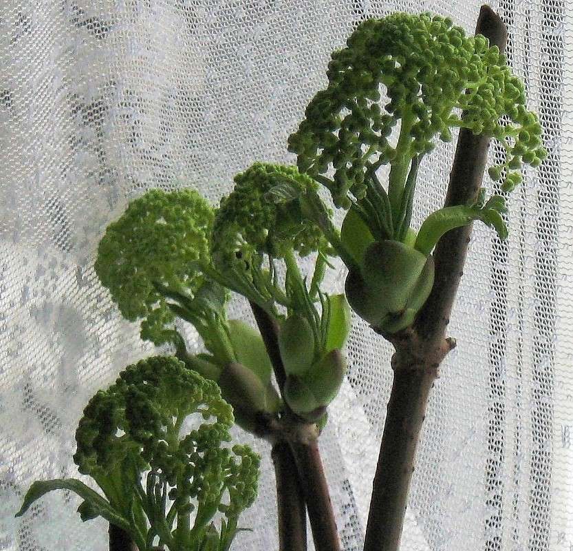 ����� �� ����. ����� Natali  ��������� �� PhotoGeek.ru #������ ��� ������� #����� ��������������