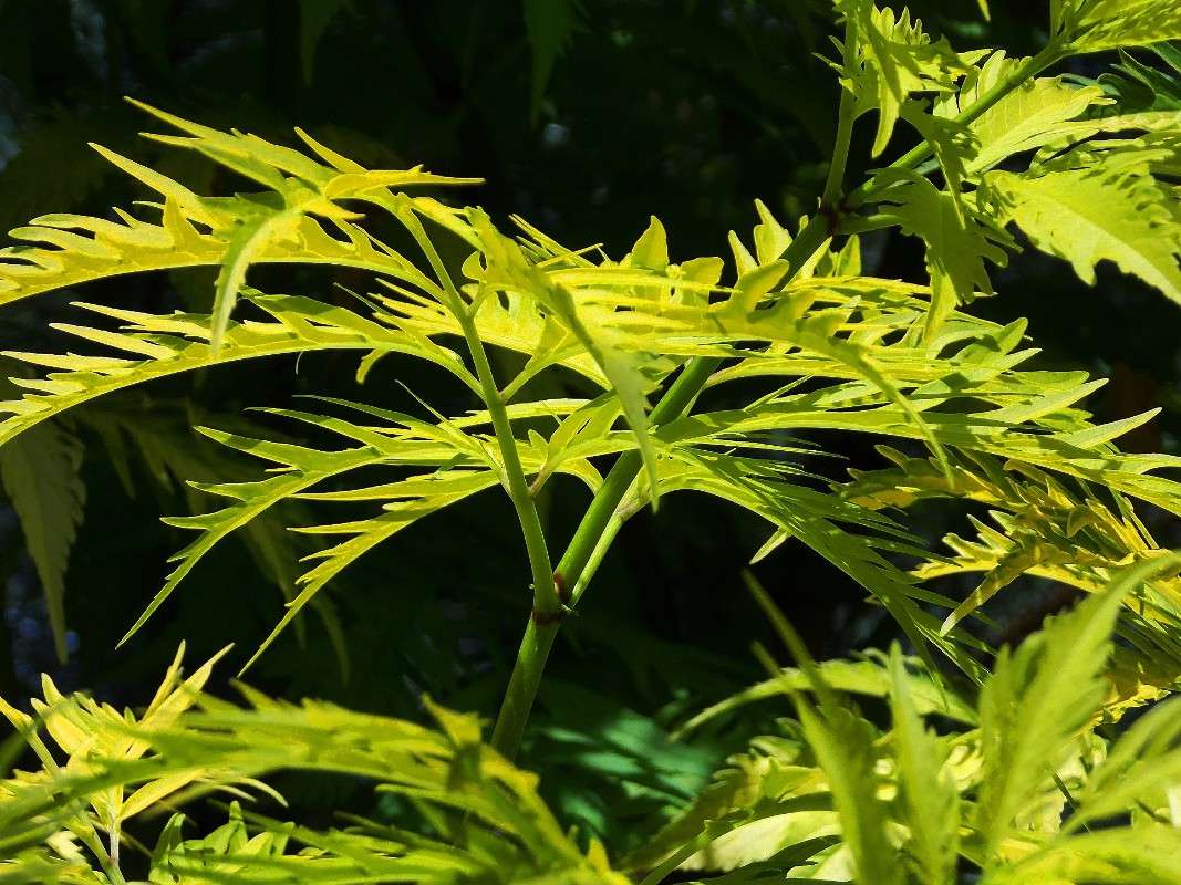 ... ����� Natali  ��������� �� PhotoGeek.ru #������ ��� ������� #����� ��������������