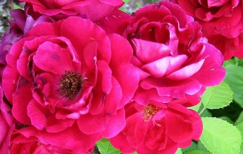 ... ����� Natali  ��������� �� PhotoGeek.ru #������ ��� ������� #����� ��������������