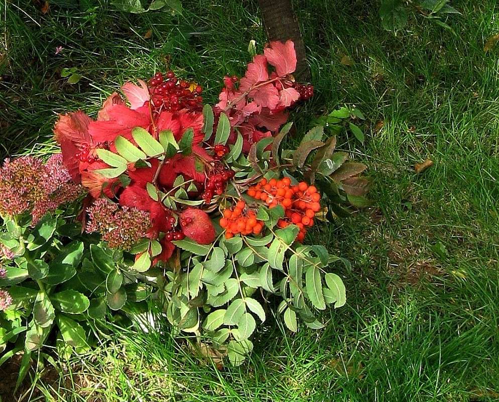 ��������� �������. ����� Natali  ��������� �� PhotoGeek.ru #������ ��� ������� #����� ��������������