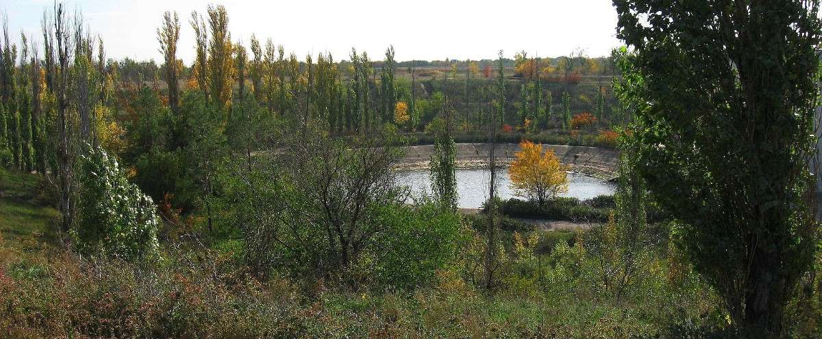 ���� ��������.... ����� Natali  ��������� �� PhotoGeek.ru #������ ��� ������� #����� ��������������