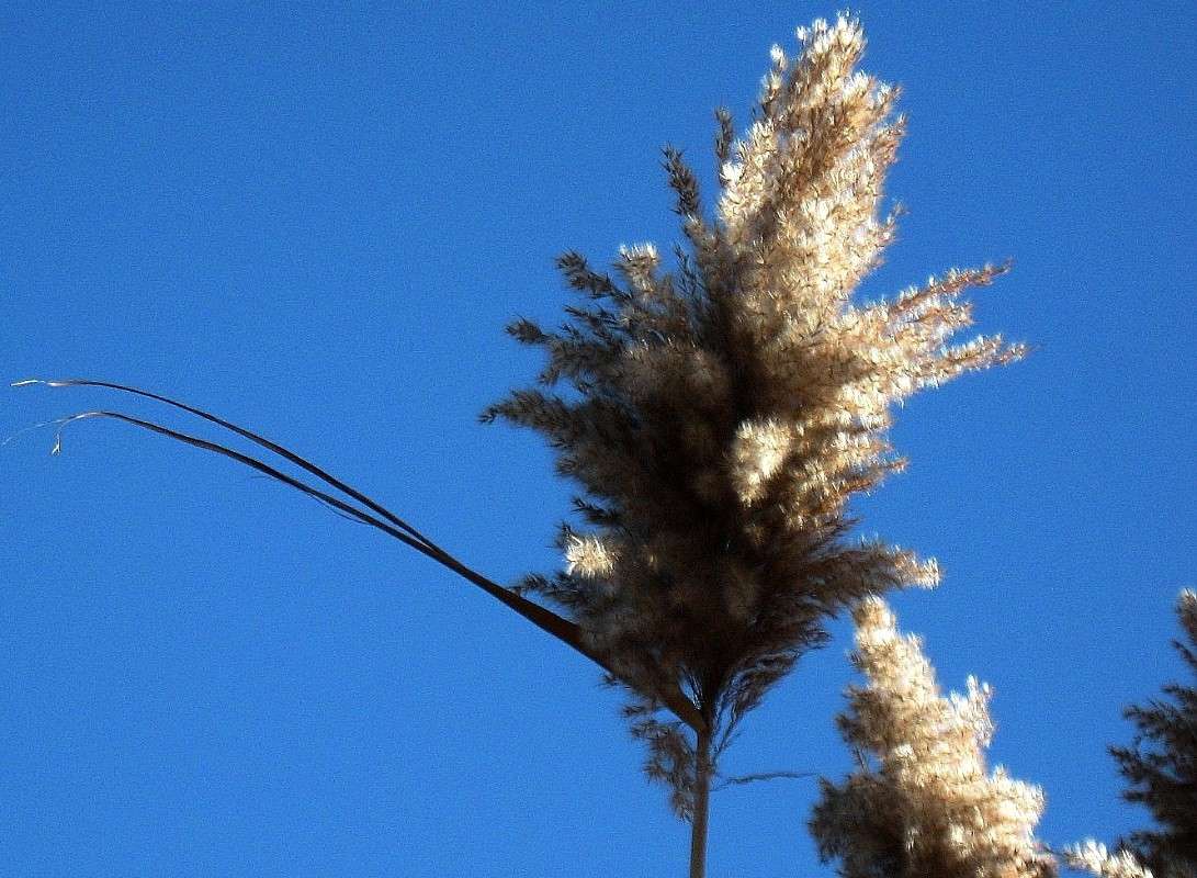 ... ����� Natali  ��������� �� PhotoGeek.ru #������ ��� ������� #����� ��������������