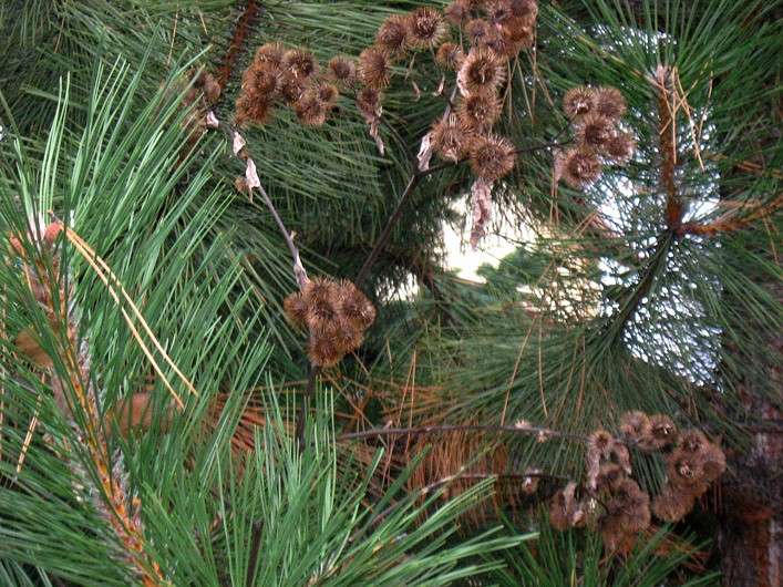 ������ �� ��� ����� ����� Natali  ��������� �� PhotoGeek.ru #������ ��� ������� #����� ��������������