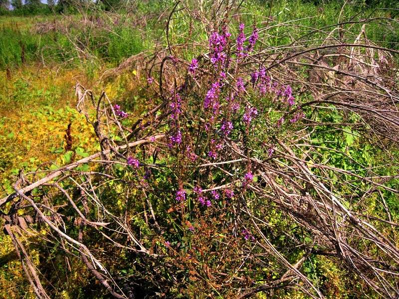 ������ �� �������� ����. ����� Natali  ��������� �� PhotoGeek.ru #������ ��� ������� #����� ��������������