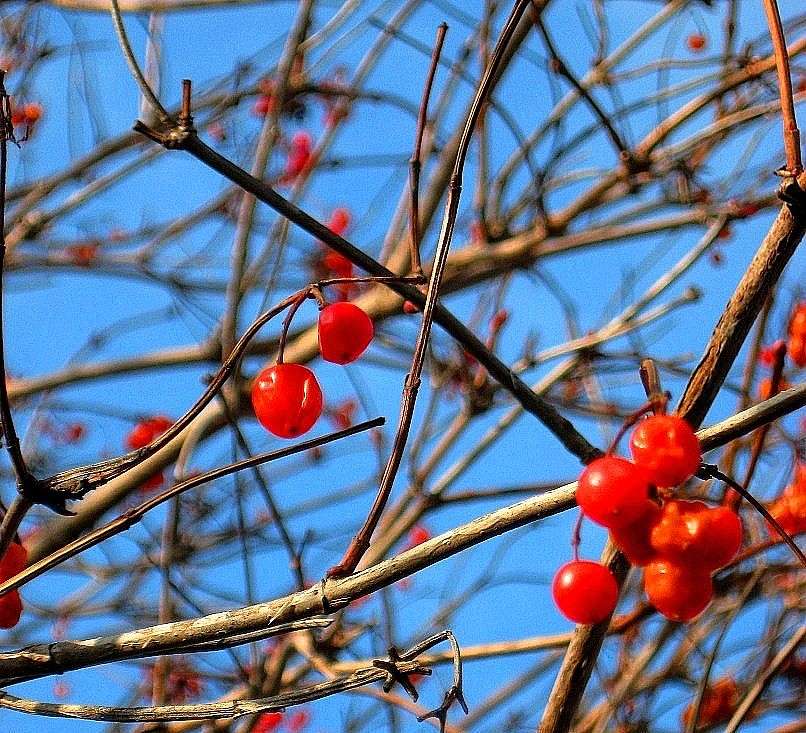 ... ����� Natali  ��������� �� PhotoGeek.ru #������ ��� ������� #����� ��������������