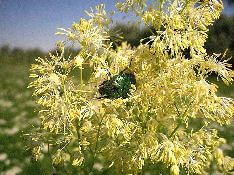 ... ����� Natali  ��������� �� PhotoGeek.ru #�������� ��� #������ ��� ������� #����� ��������������