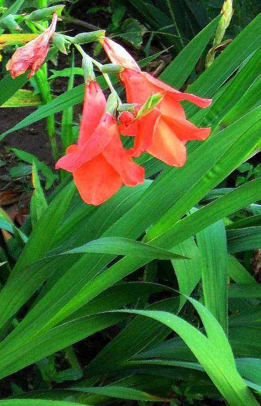 ... ����� Natali  ��������� �� PhotoGeek.ru #������ ��� ������� #����� ��������������