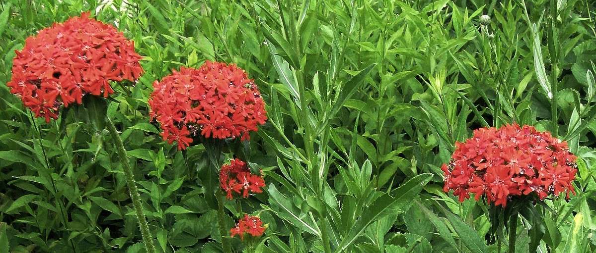 ����������� �����. ����� Natali  ��������� �� PhotoGeek.ru #������ ��� ������� #����� ��������������