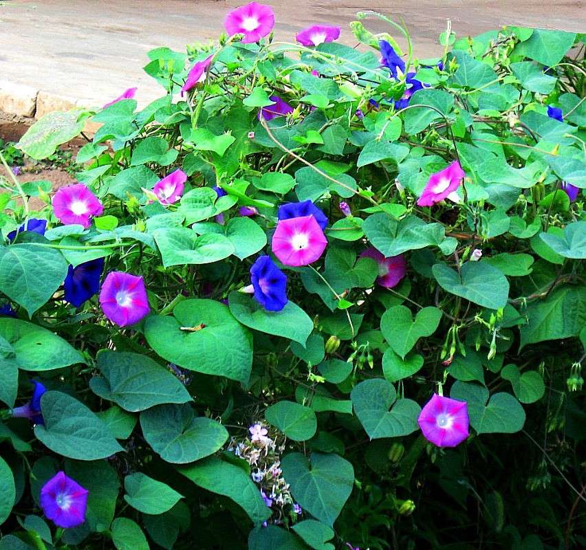 ... ����� Natali  ��������� �� PhotoGeek.ru #������ ��� ������� #����� ��������������